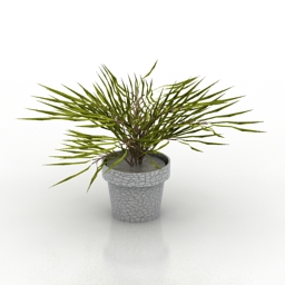 plant 3D Model Preview #be641342