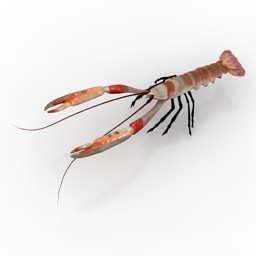 3D Lobster preview
