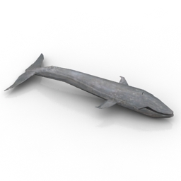 3D Whale preview