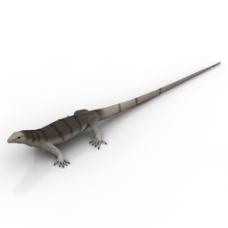 3D Lizard preview