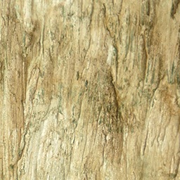 Bark