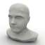 Bust