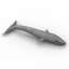 Whale