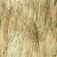Bark
