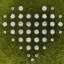 Grass
