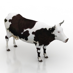 cow 3D Model Preview #21576988