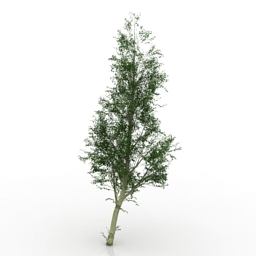 3D Tree preview
