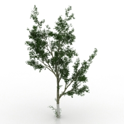 3D Tree preview