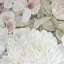 Textile