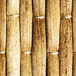 Bamboo