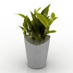 plant 3D Model Preview #6c6f2f10