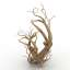 Roots