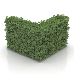 bush 05 3D Model Preview #6af64417