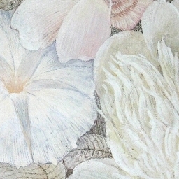 Wallpaper