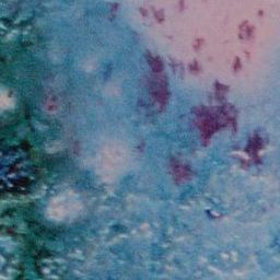 Tile