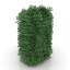 Bush