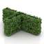 Bush