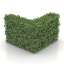 Bush