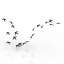 Flock