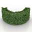 Bush