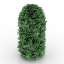Bush