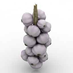 3D Garlic preview