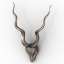 Antlers