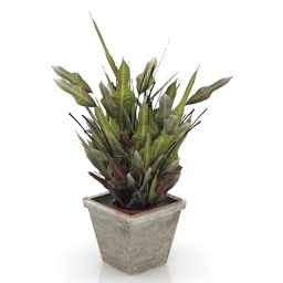 plant flower 3D Model Preview #b399062b