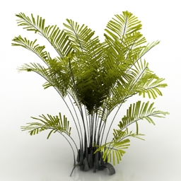 3D Palm preview