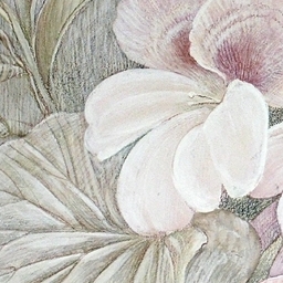 Wallpaper