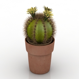 cactus 2 3D Model Preview #2e8d1590