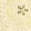 Textile