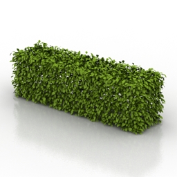 bush 3D Model Preview #b71154b5