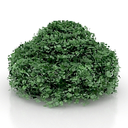 bush 14 3D Model Preview #4d72174f
