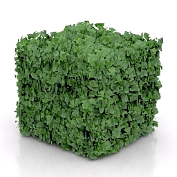 bush 16 3D Model Preview #2e0d5089