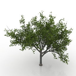 Download 3d cad models, 3d max textures, 3d help