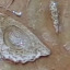 Stucco