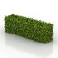 Bush