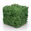 Bush