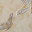 Stucco