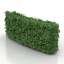 Bush