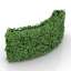 Bush