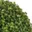 Bush