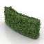 Bush
