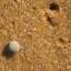 Sand