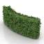 Bush