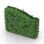 Bush