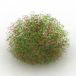 bush 3D Model Preview #af31315b