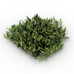 grass 3D Model Preview #ab25cb35