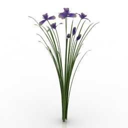 flower irissibirica 3D Model Preview #111ab006